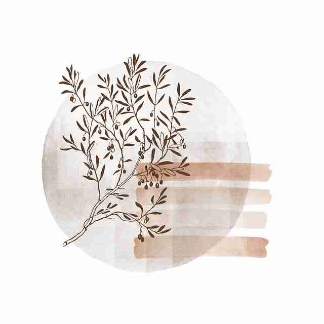 鉴黄师独家爆料全景复盘：幕后故事深度解析